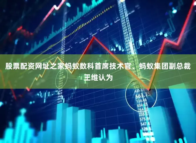 股票配资网址之家蚂蚁数科首席技术官、蚂蚁集团副总裁王维认为