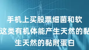 手机上买股票细菌和软体动物这类有机体能产生天然的黏附蛋白