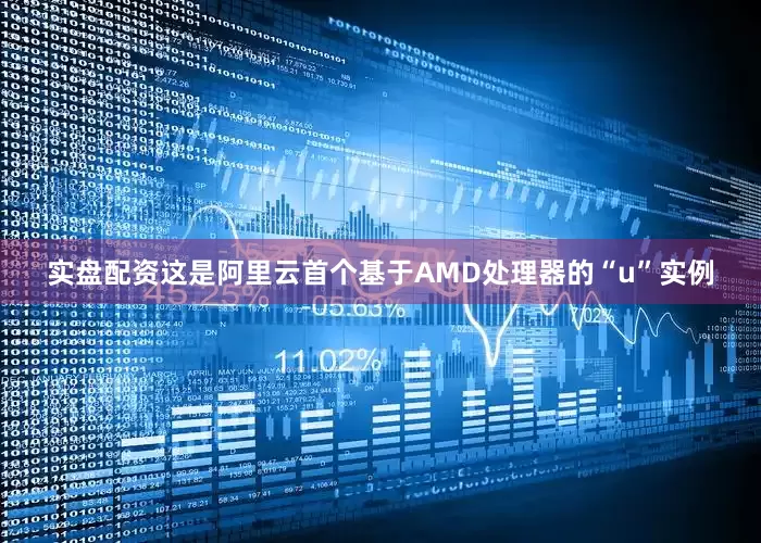 实盘配资这是阿里云首个基于AMD处理器的“u”实例